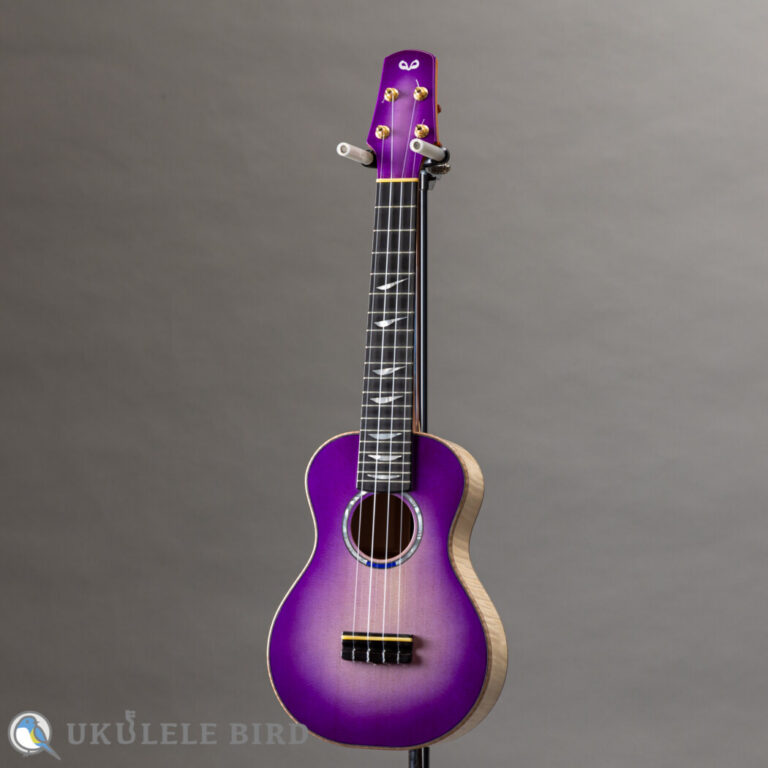 OulCraft UB 5th Anni Concert “Amethyst”